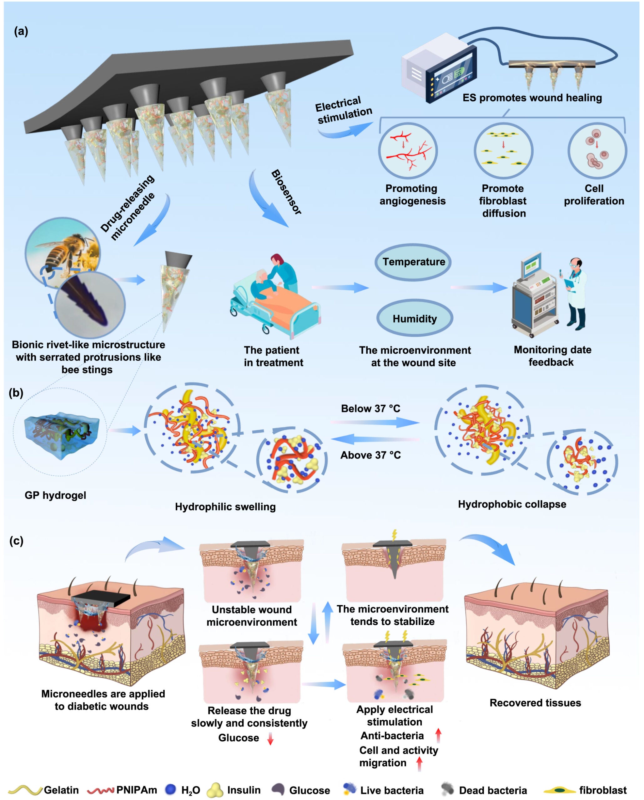 A temperature-sensitive GP-PPy/PLA-MN electroactive platform with smart and precise drug release, electrostimulation transmission, and real-time wound assessment monitoring.
