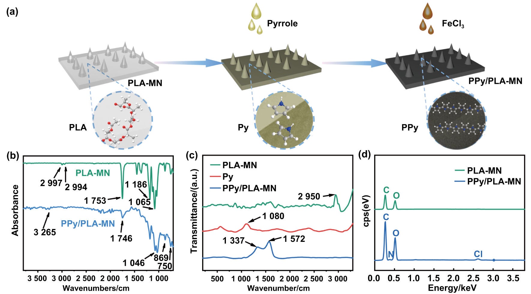Preparation and characterization of GP-PPy/PLA-MN Base PPy/PLA-MN. (a) Schematic diagram illustrating the preparation mechanism of PPy/PLA-MN. (b) FTIR spectra of PLA-MN and PPy/PLA-MN. (c) Raman spectra of PLA-MN, Py and PPy/PLA-MN. (d) EDX elemental spectra of PLA-MN and PPy/PLA-MN.
