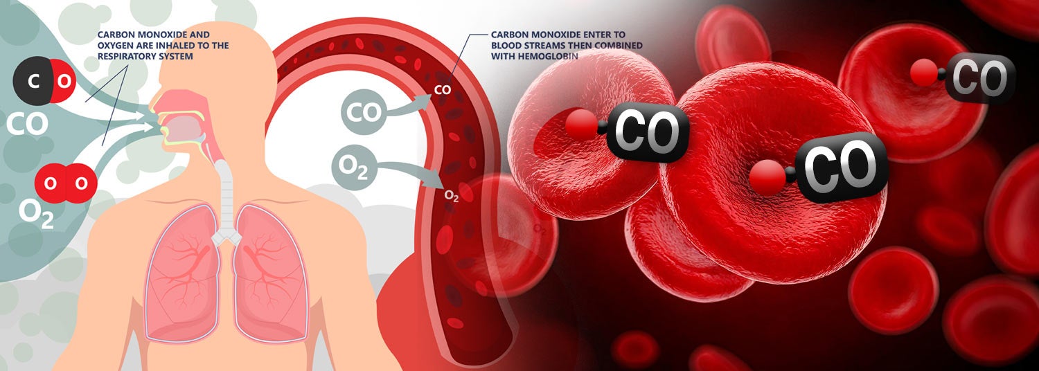 Diagram of how carbon monoxide infects the body.