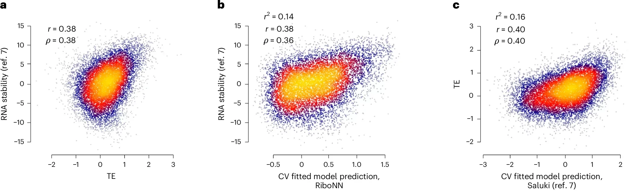 Interrelationships between mRNA translation, turnover and subcellular localization.