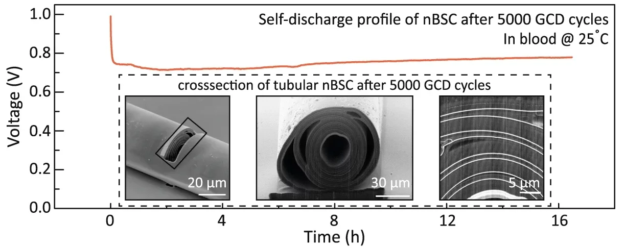 Self-discharge profile in blood after 5000x GCD cycles. Inset shows cross-sectional images of tubular nBSC after 5000x GCD cycles.