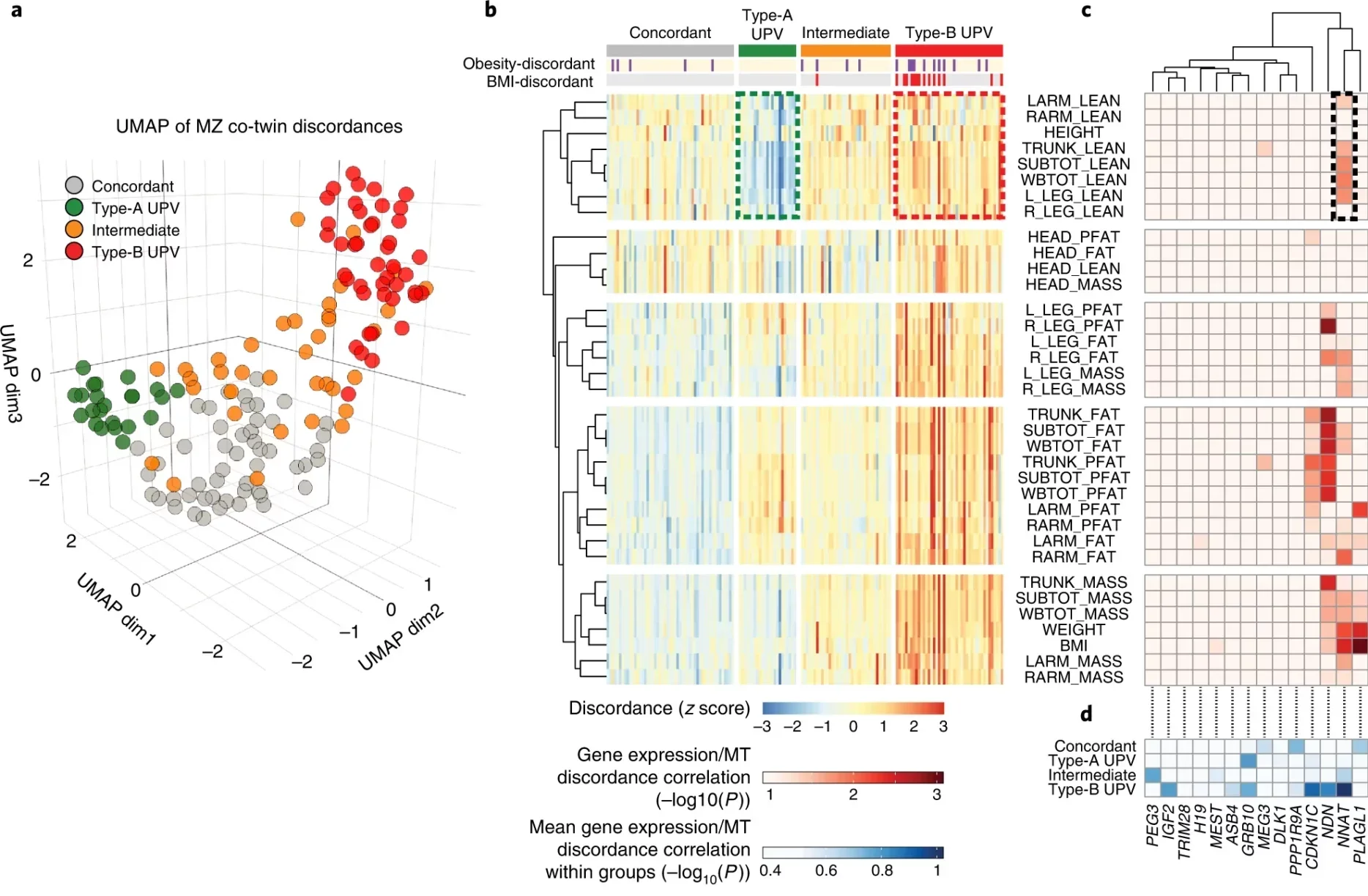 Characterization of human UPV.