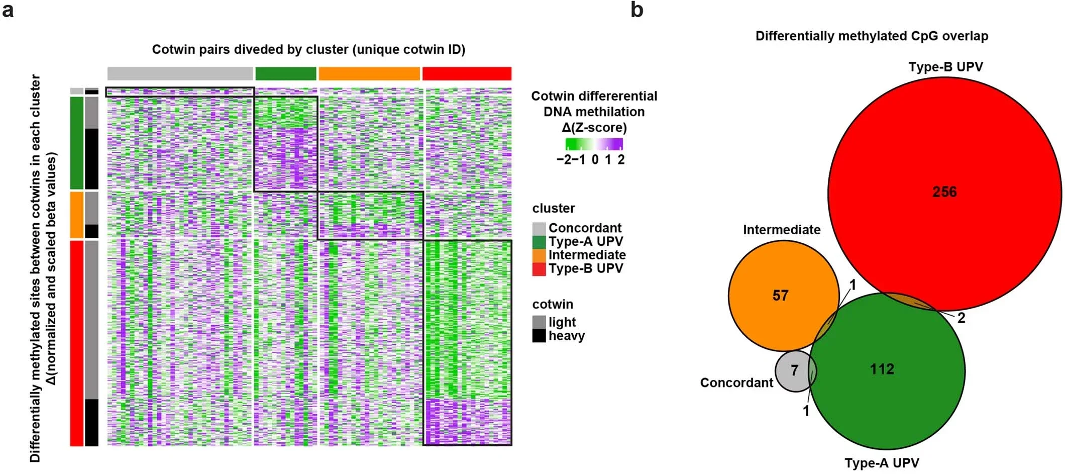 Type-A and Type-B UPV are associated to distinct DNA methylation patterns.