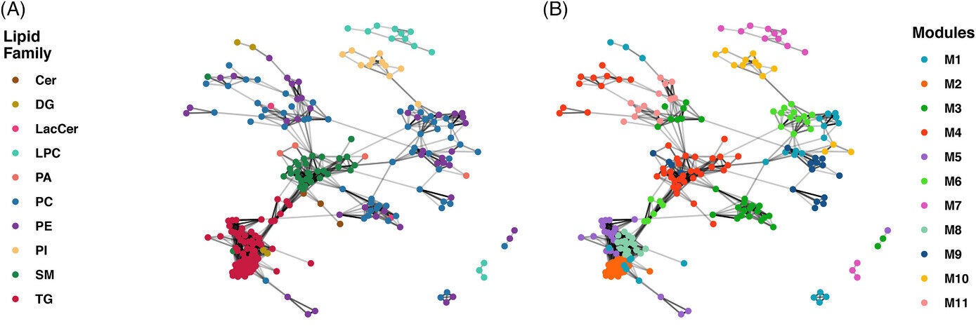 A, Correlation network of individual lipid molecules, colored by lipid family. B, Correlation network of individual lipid modules generated by WCNA.