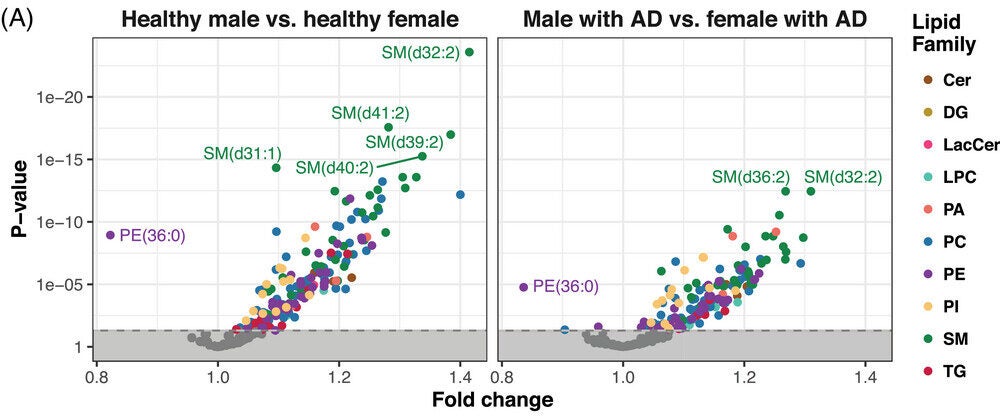 Volcano plots showing lipid differences between male and female participants, stratified by AD status (left: cognitively healthy; right: AD). 