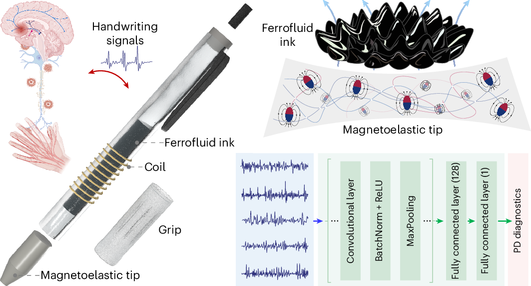 Design and working mechanism of the magnetoelastic diagnostic pen. 