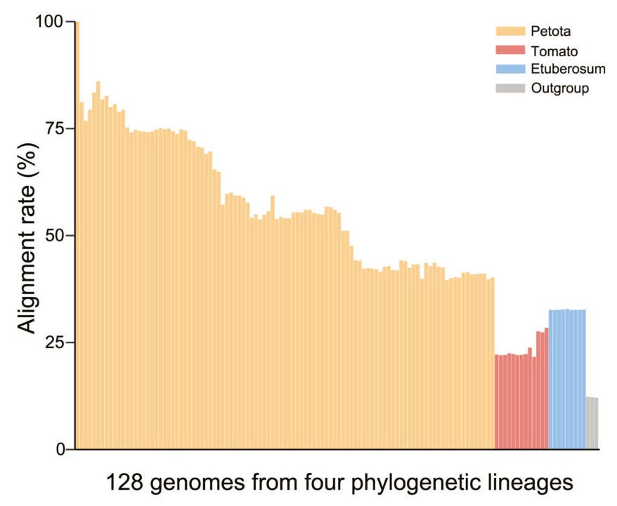 Alignment rates of the 128 genomes with DM v6.1 as a reference