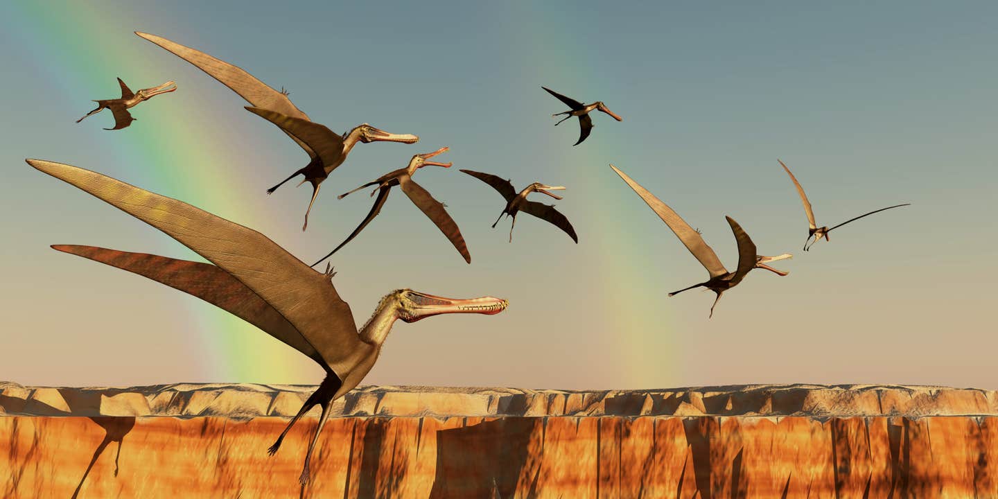 A Yale study reveals how a tiny twist in a dinosaur’s wrist became the key to bird flight, reshaping our understanding of evolution.