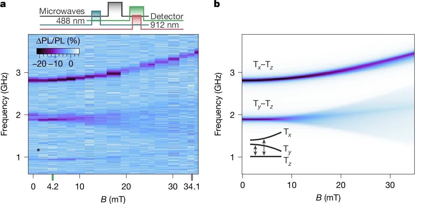 Experimental ODMR signal as a function of externally applied magnetic field. 