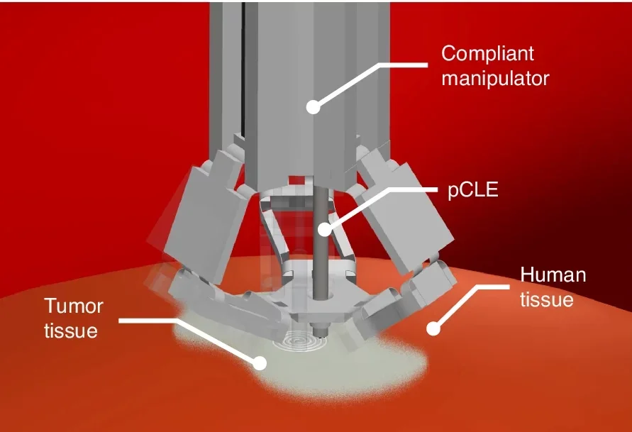 Cell-level intraoperative sensing.
