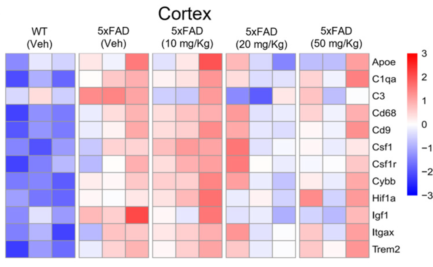 Heatmap showing gene expression of selected DAM-related genes in each group.