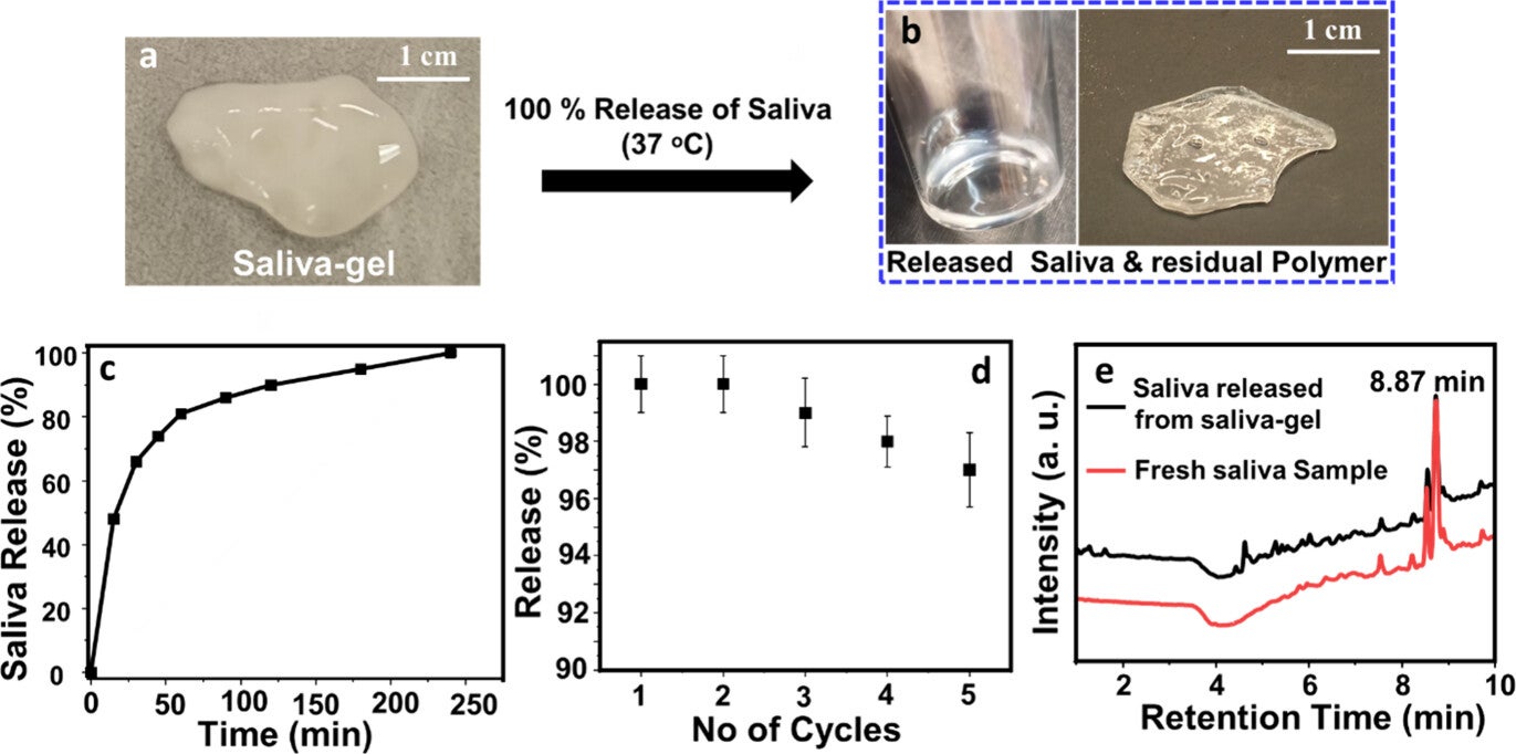 A visual representation of the initial swollen state of the saliva-gel