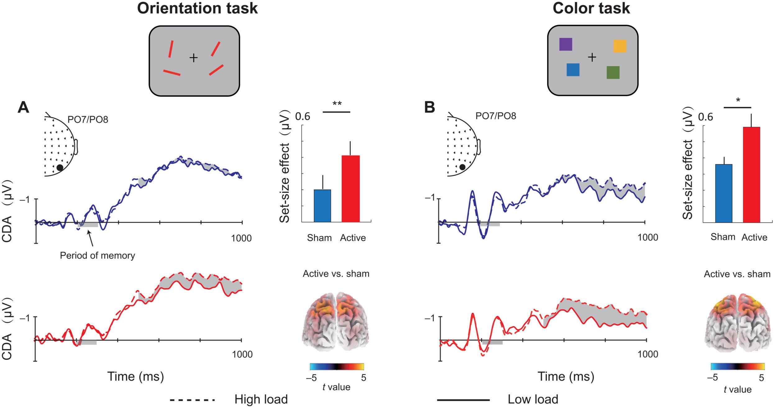 Grand average of ERPs and its link with behavior. (A) The orientation WM task in experiment 1 and (B) the color WM task in experiment 2. Shading indicates the CDA set-size effect.