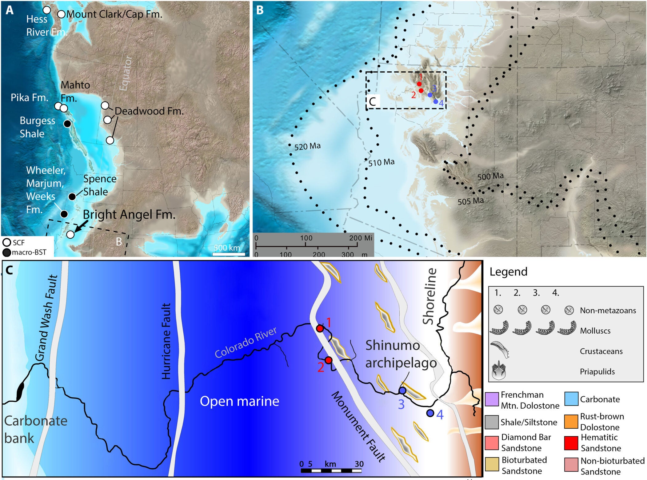 Reconstruction showing paleoenvironmental map of western North America in the Middle to Late Cambrian (~505 to 495 Ma)