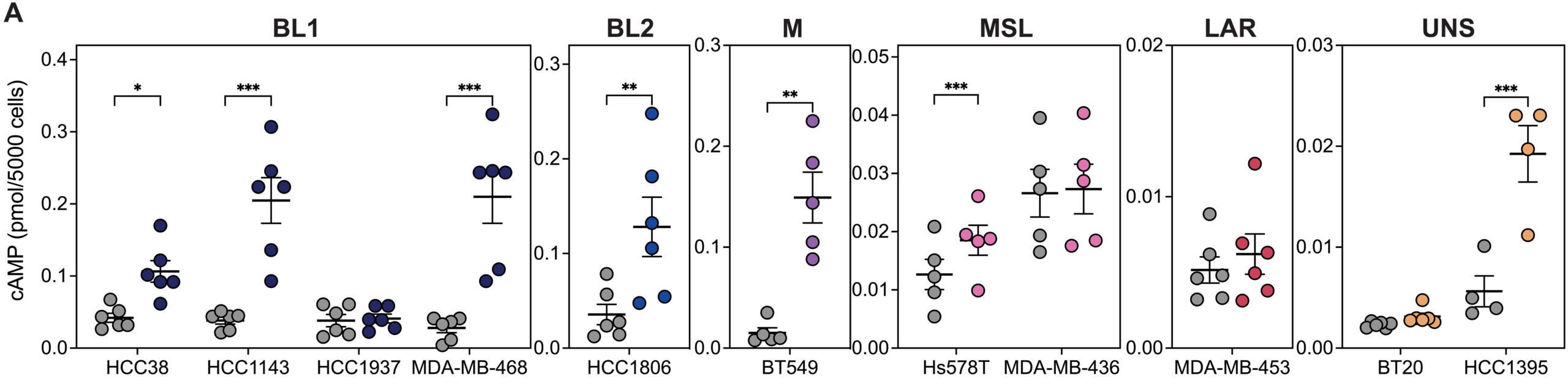 Effect of formoterol on cAMP accumulation in a panel of TNBC cell lines