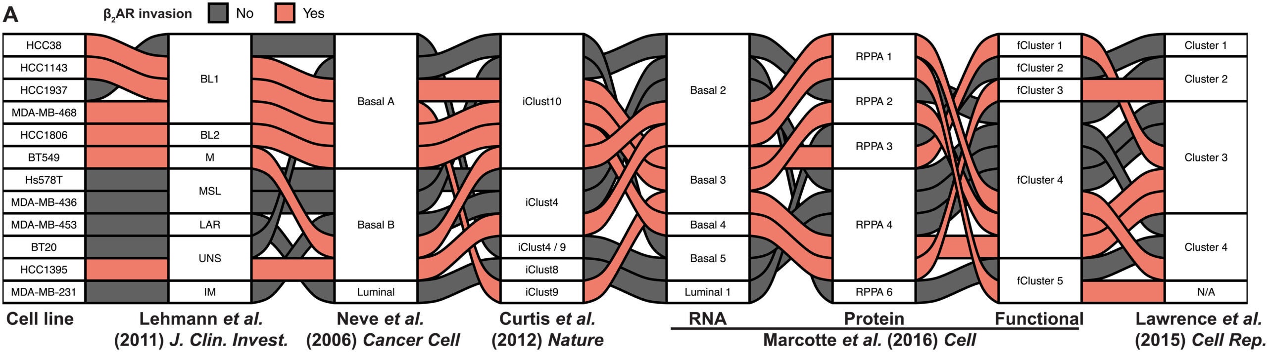 Alluvial plot showing the different omic classifications of each TNBC cell line.