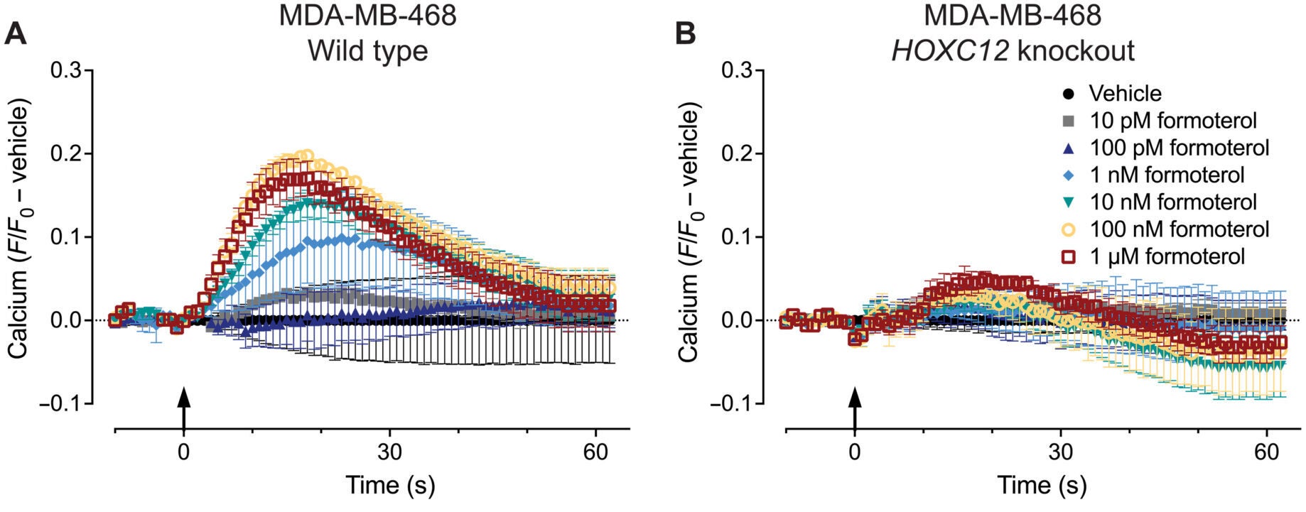 Time course of calcium mobilization in response to vehicle or increasing concentrations of formoterol in wild-type and HOXC12 knockout MDA-MB-468 cells, each n = 3 independent experiments.