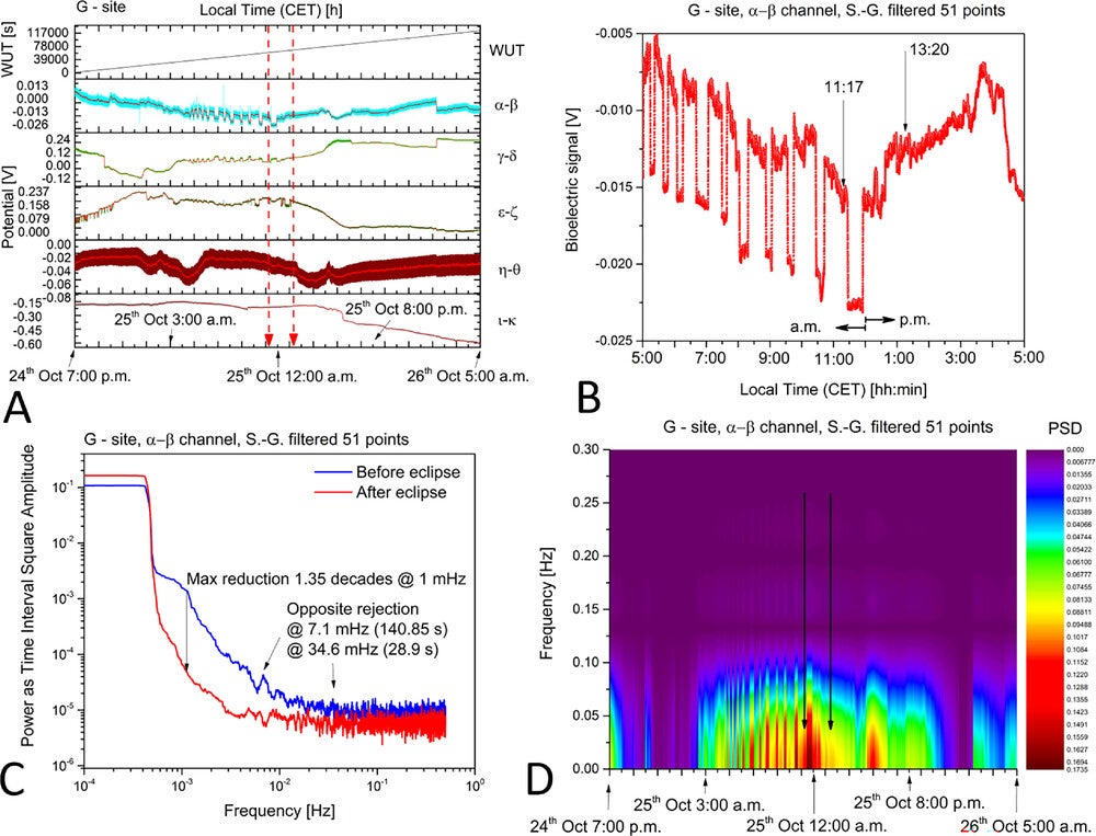 Bioelectrical potentials recorded from the 20-years-old tree at site G during the solar eclipse.