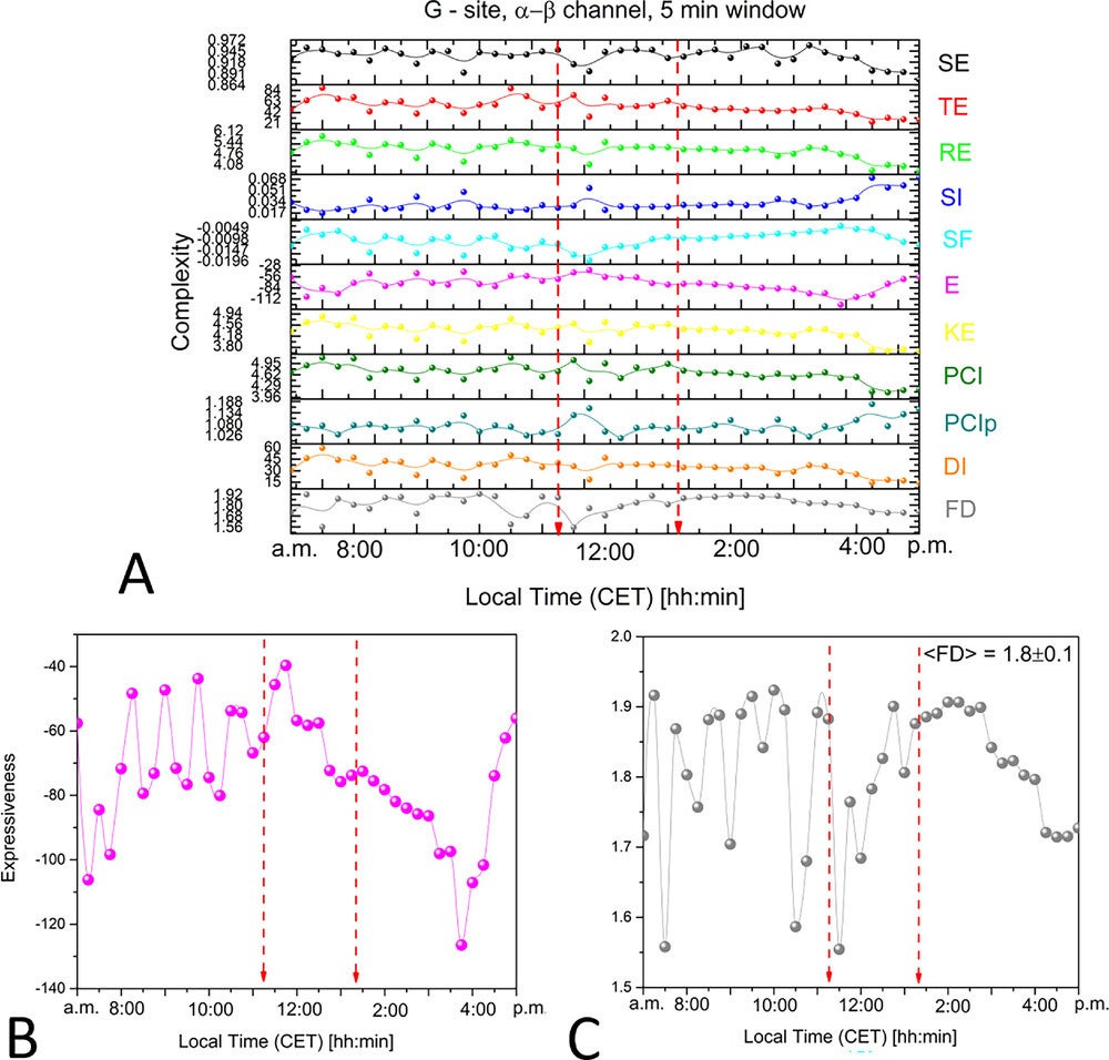 Complexity analysis of bioelectrical potentials recorded from the 20-years-old tree at site G during the solar eclipse