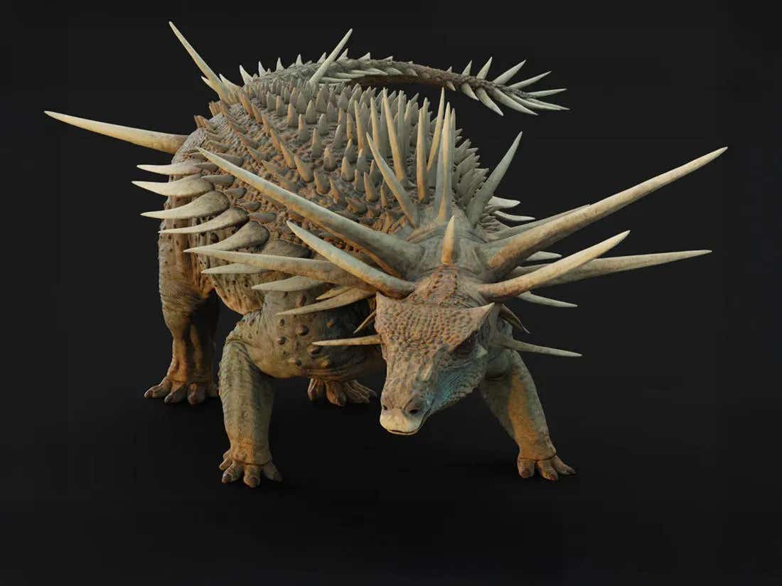 Artist's impression of Spicomellus Afer. Spicomellus isn’t just another ankylosaur—it’s a Jurassic showpiece with some of the most bizarre armor ever seen in a vertebrate.