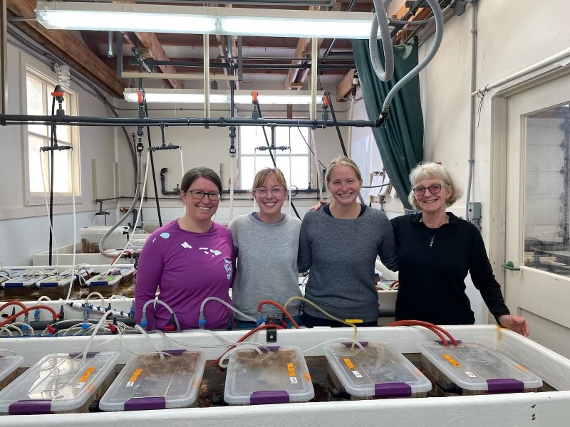 The team poses in the lab at the USGS Marrowstone Marine Field Station. From left to right: Alyssa Gehman, Grace Crandall, Melanie Prentice and Drew Harvell. 