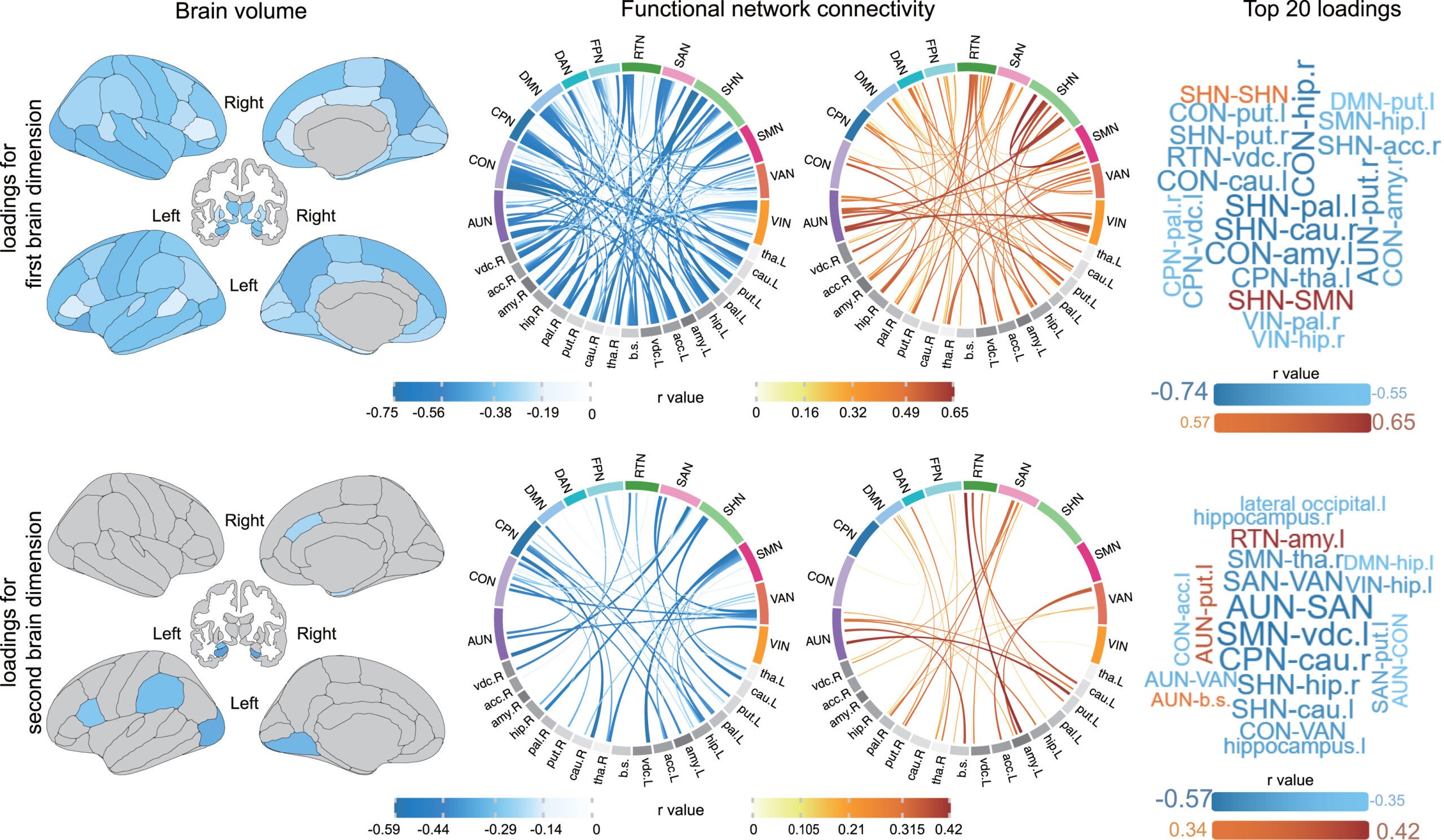 Patterns of brain volumes and functional network connectivities contribute to the linked sleep dimensions