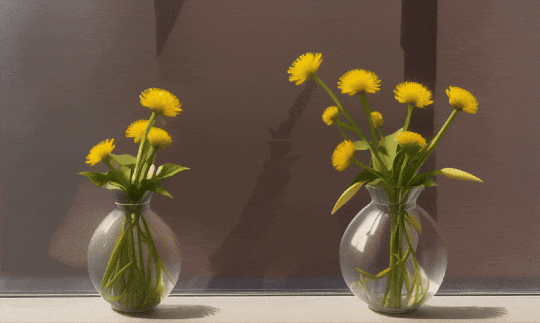 Time-lapse of dandelions blooming.