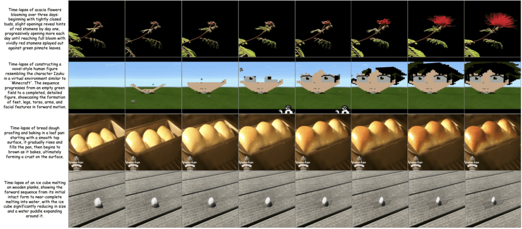 Frames from time-lapses created by MagicTime.