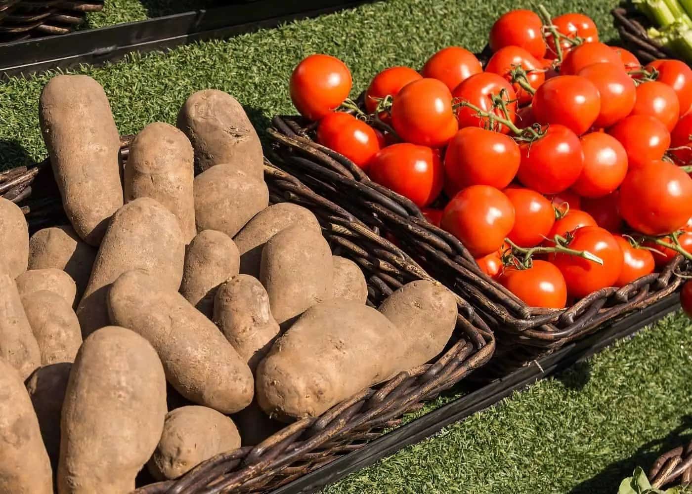 Potatoes originated about nine million years ago from a hybrid event between tomatoes and Etuberosum plants.