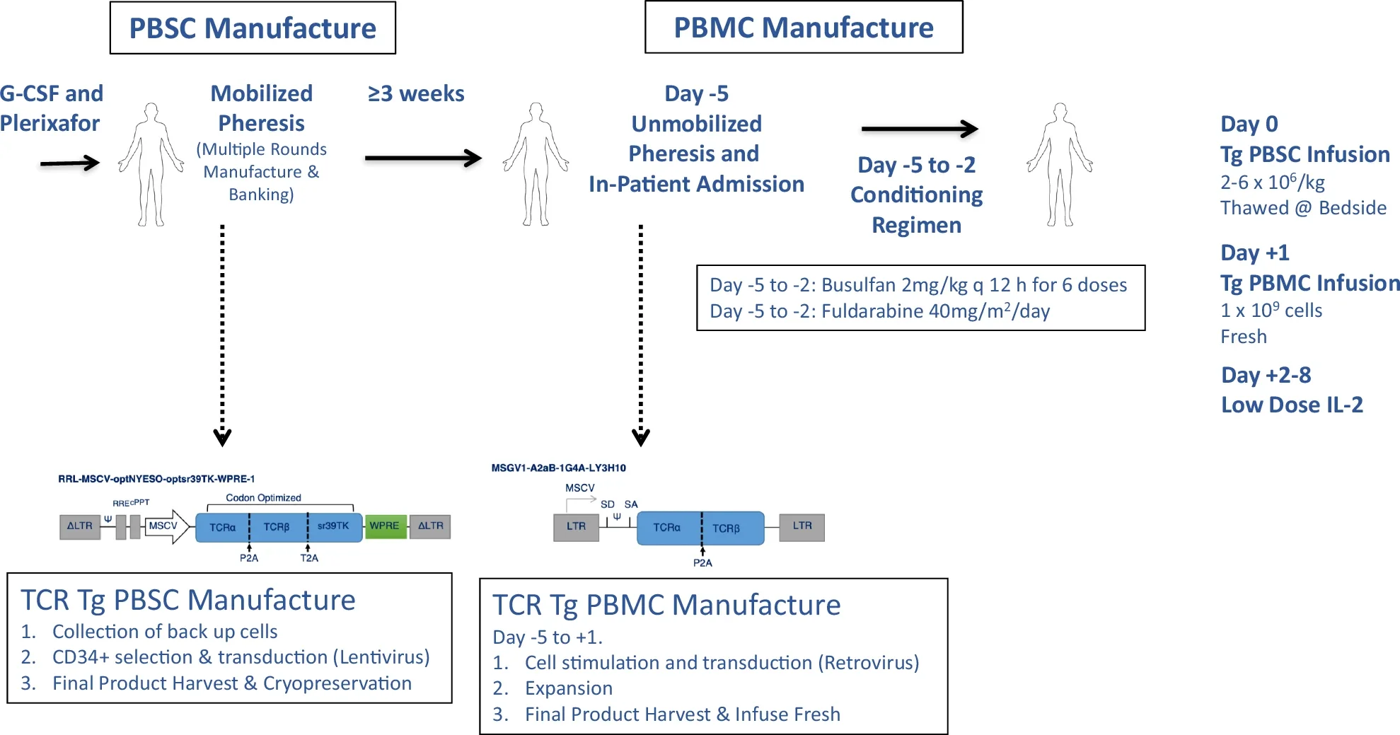 Overview of manufacturing protocol, and clinical trial procedures.