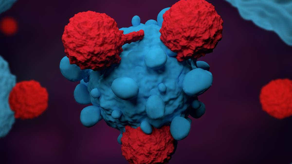 Scientists test engineered stem cells for cancer treatment, creating a lasting immune defense with tumor-targeting T cells.