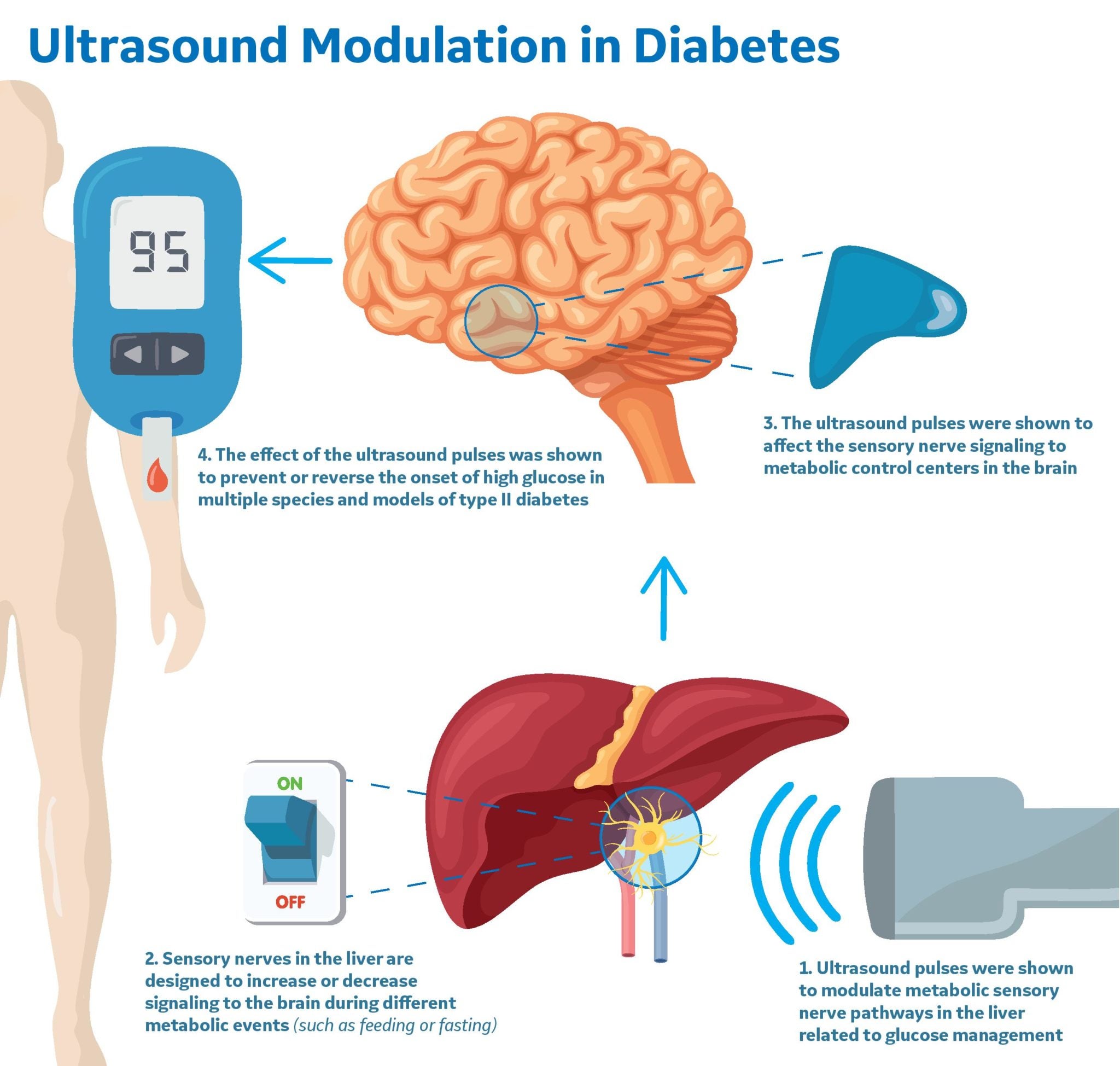 Ultrasound technology can be used modulate the body’s nervous system.