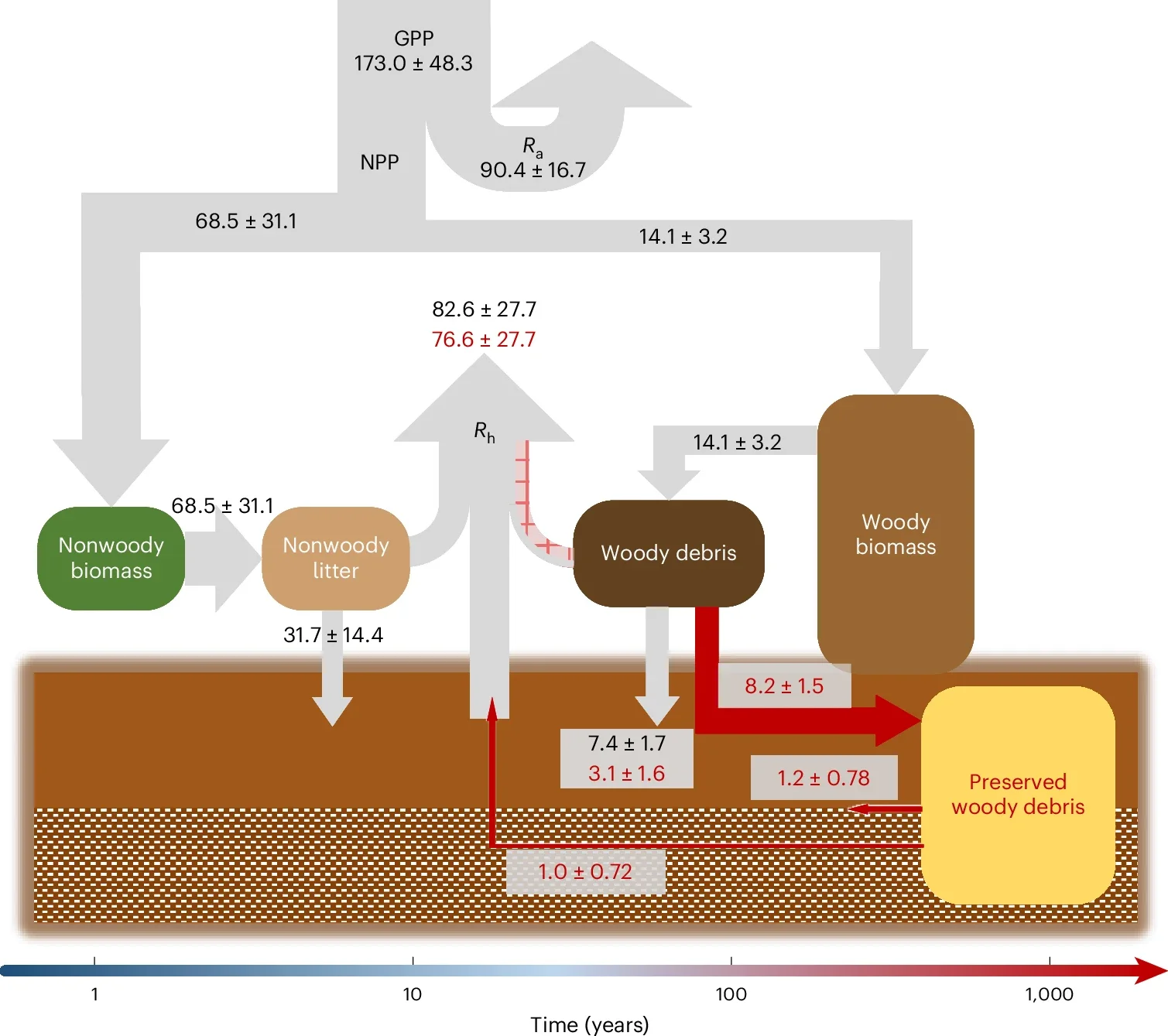 A schematic illustration of CDR via preserving woody debris in managed forests.