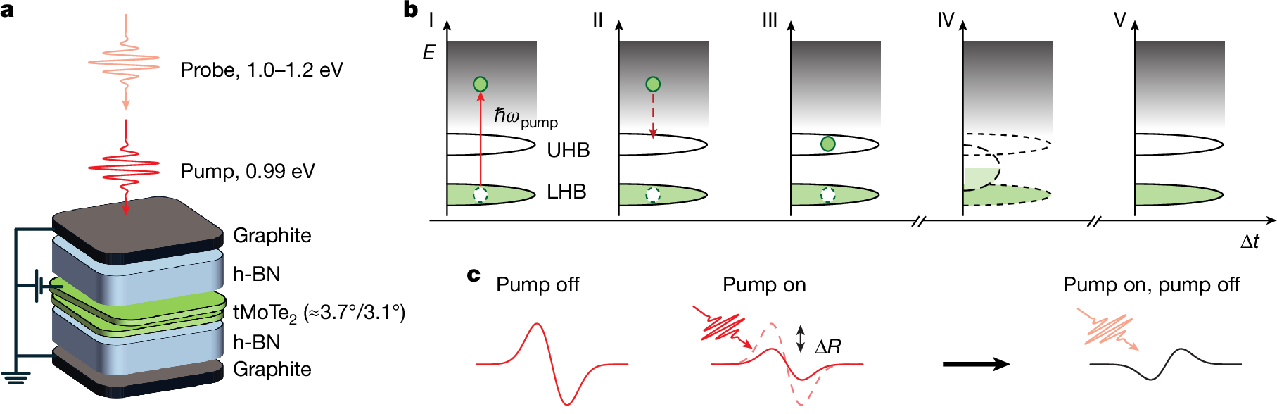 Pump–probe spectroscopy detects hidden states at fractional fillings in tMoTe2.