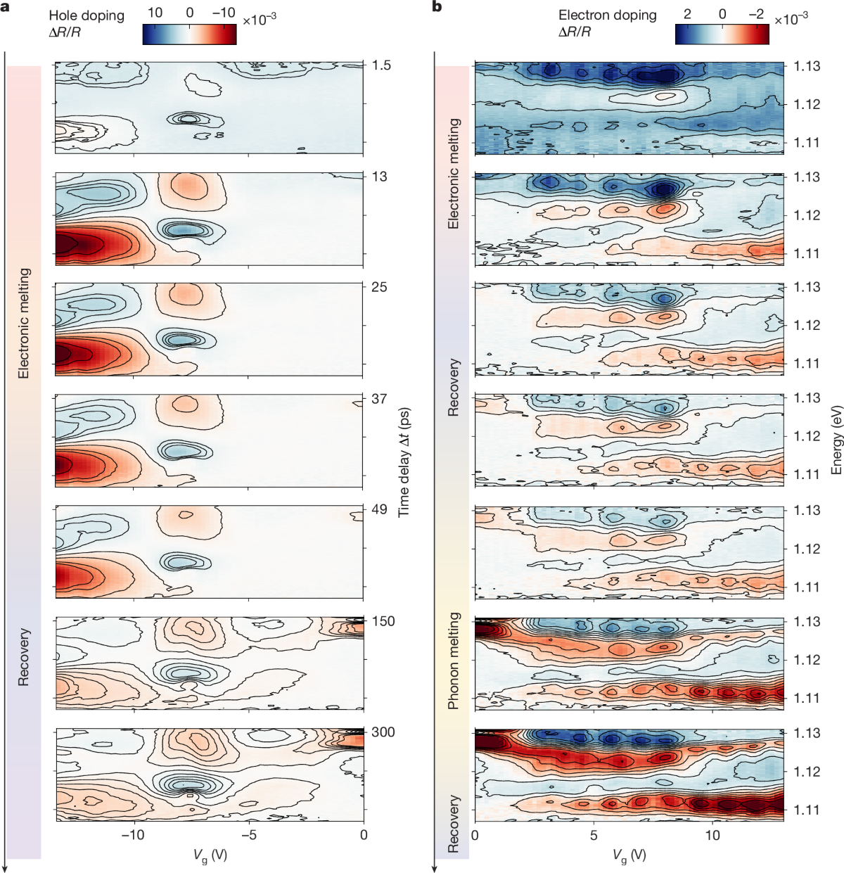 Melting and recovery dynamics of correlated states.