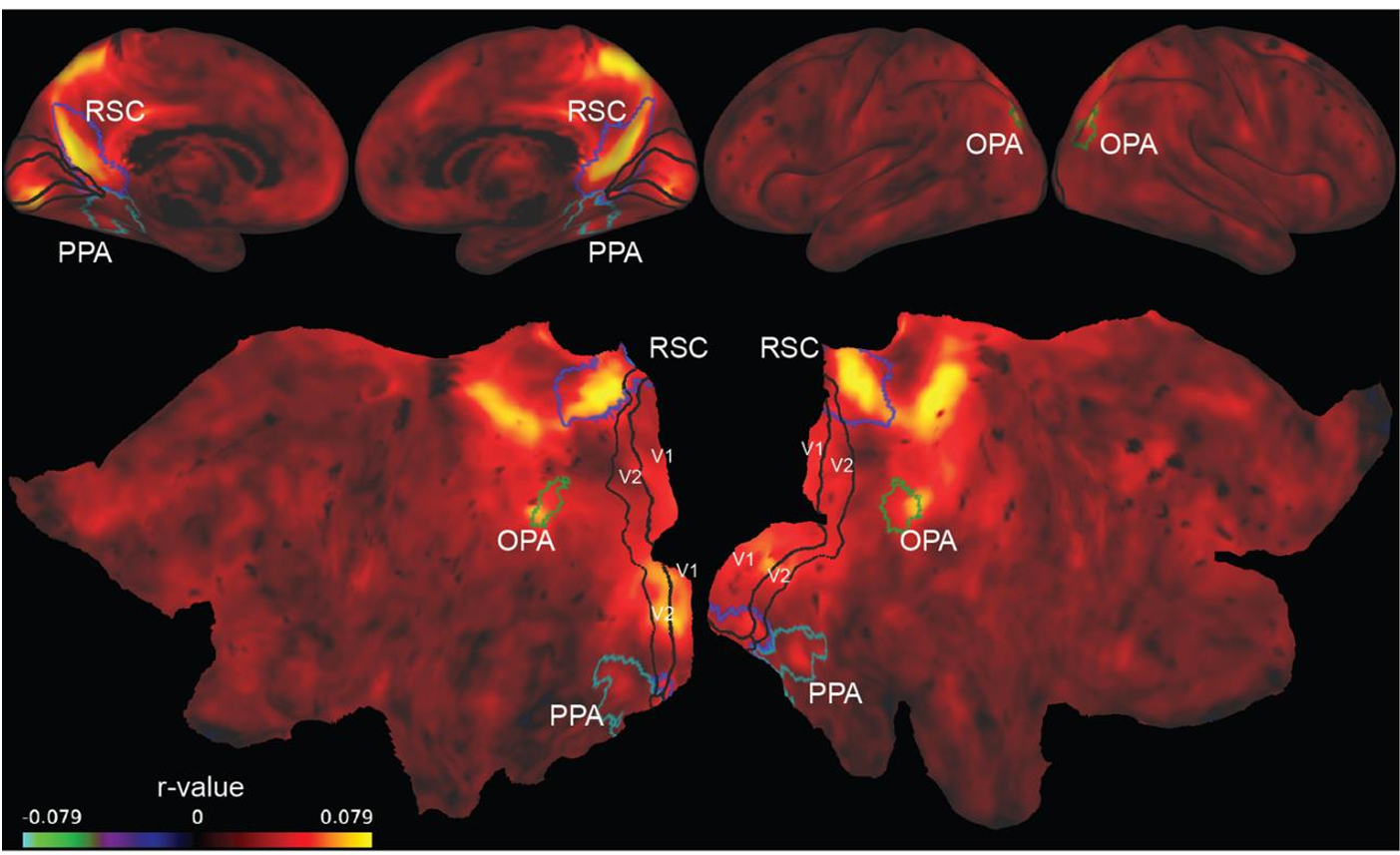 Facing-direction related adaptation. (a) Nonlinear fitting was used to estimate voxelwise parameter weights for an FD-adaptation model in city v1 and v2 data.