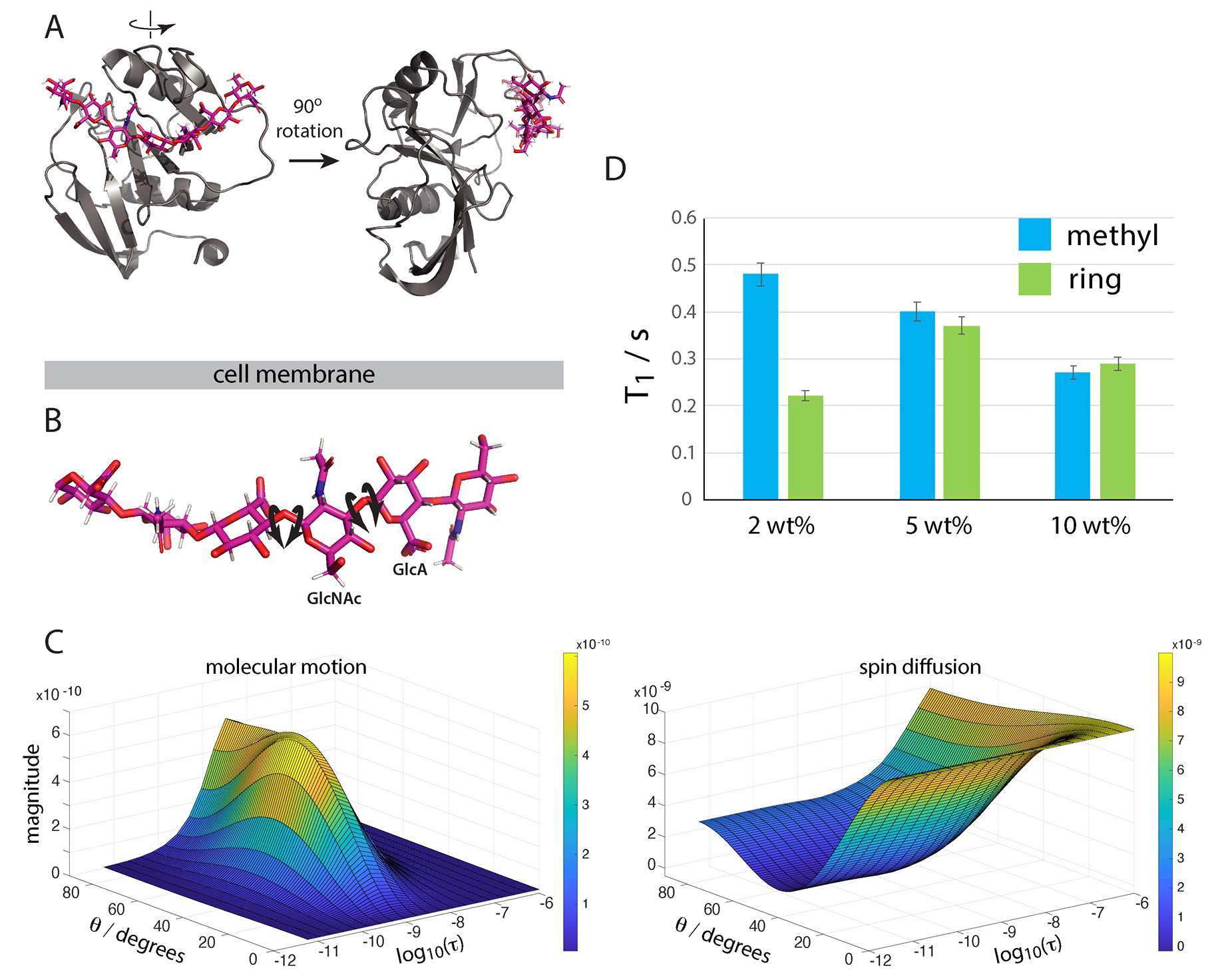  Type A binding of HA 8-mers on the CD44 hyaluronic acid binding domain (HABD)