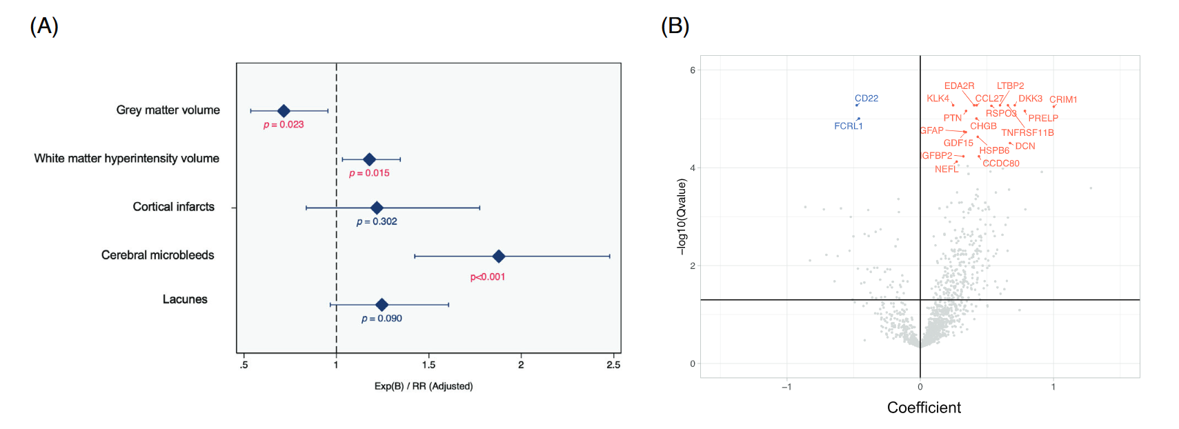 (A) Cross-sectional associations of RetiPhenoAge with brain MRI markers of cerebral small vessel disease and neurodegeneration. (B) Top 20 most significantly associative plasma proteins for older RetiPhenoAge.