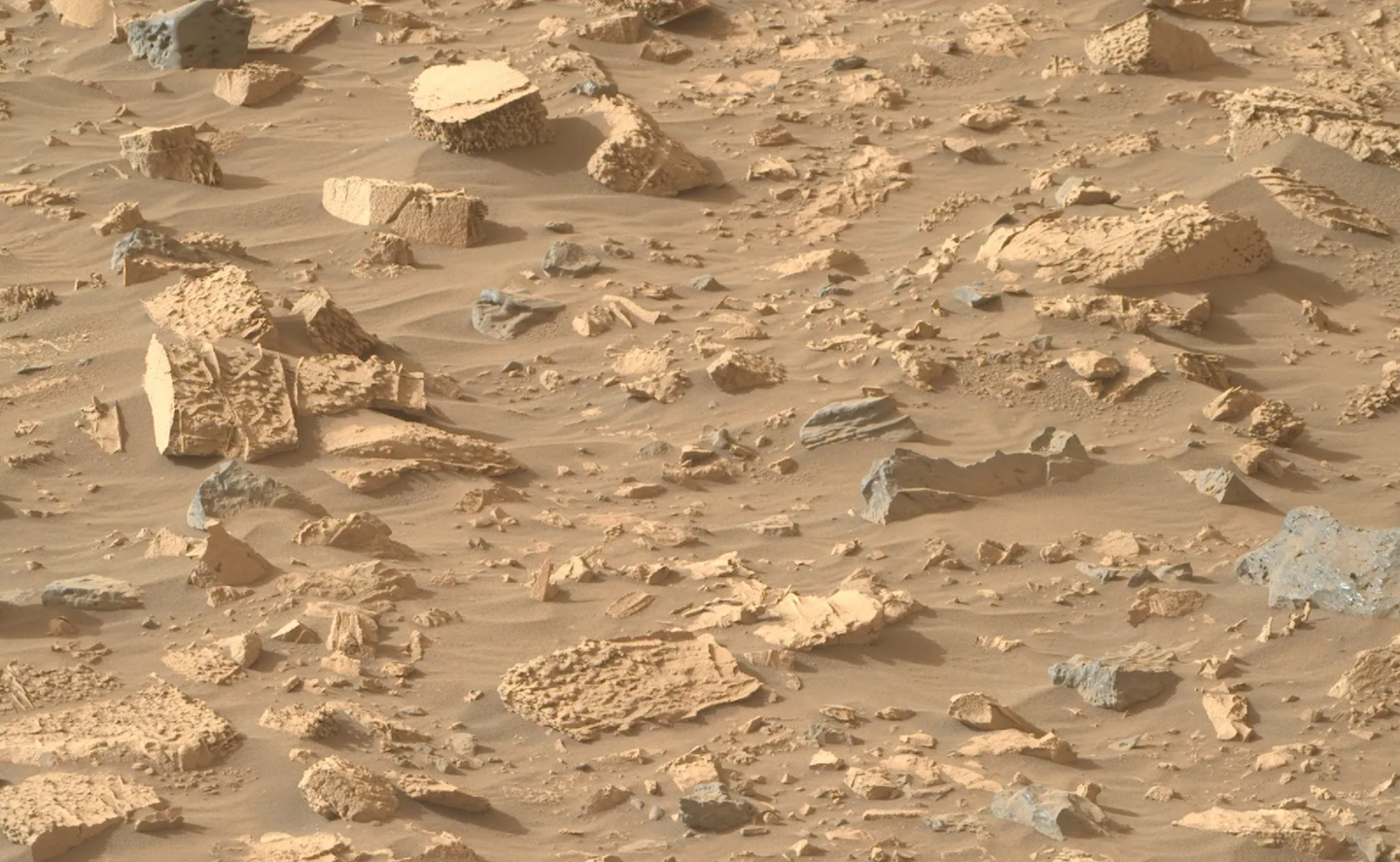 NASA's Mars Perseverance rover acquired this image using its Right Mastcam-Z camera. Mastcam-Z is a pair of cameras located high on the rover's mast.
