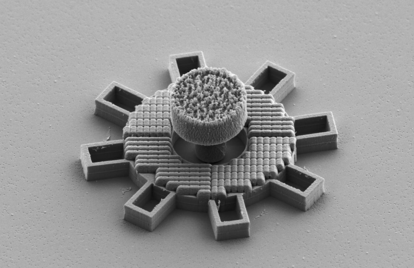 The gear moves when its light-responsive structure is activated.
