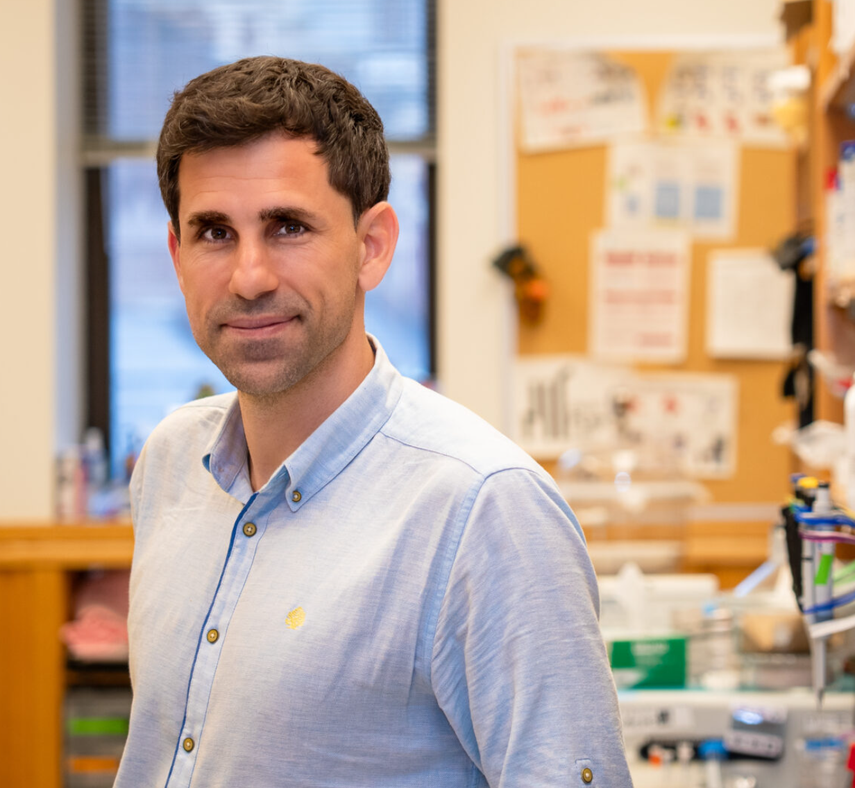 De la Fuente has used AI to find new antibiotic candidates in unlikely places. Now, he and Chatterjee used AI to invent them.