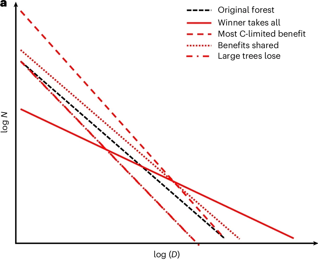 Potential impacts of growth stimulation and climate change on forest structure. 