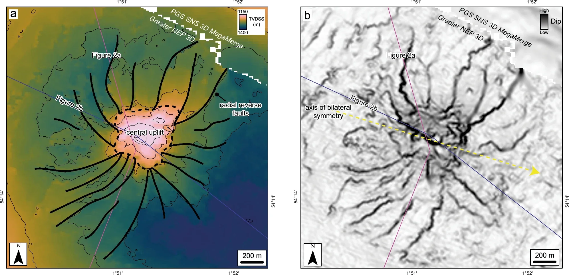 Radial faults around the central uplift at the BCU level allow reconstruction of the impact trajectory.