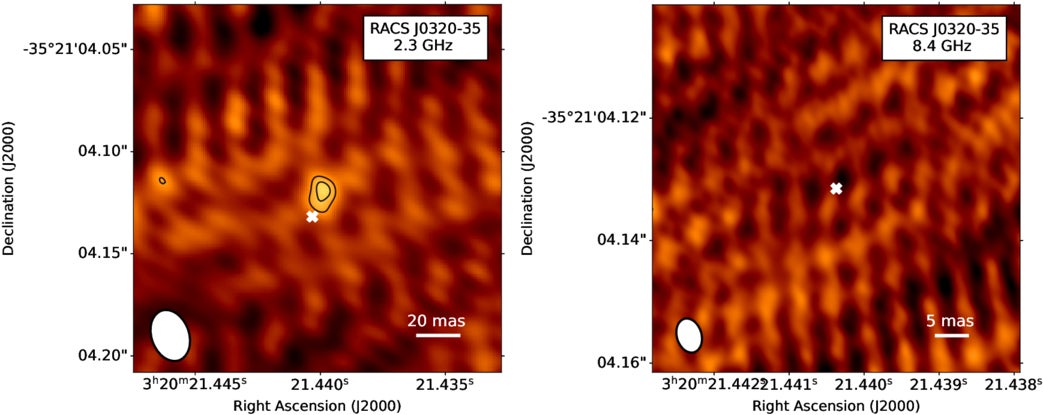 LBA-VLBI images of RACS J0320−35 centered at 2.3 (left) and 8.4 (right) GHz. The white cross shows the optical position of RACS J0320−35 from the DES catalog.