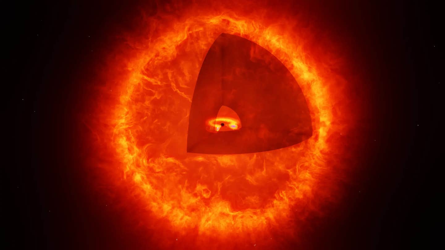 Artist’s impression of a black hole star (not to scale). The cut-out reveals the central black hole with it surrounding accretion disk.