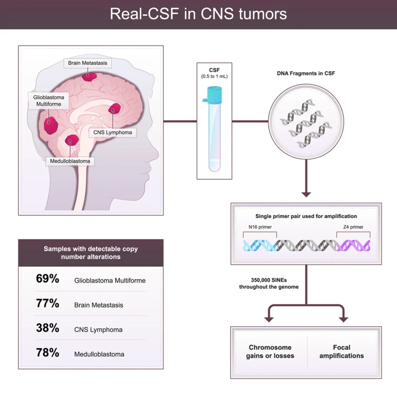 This diagram shows how the Real-CSF test works to identify the presence of brain tumors by measuring abnormal genetic material shed by tumors and circulating in cerebrospinal fluid.