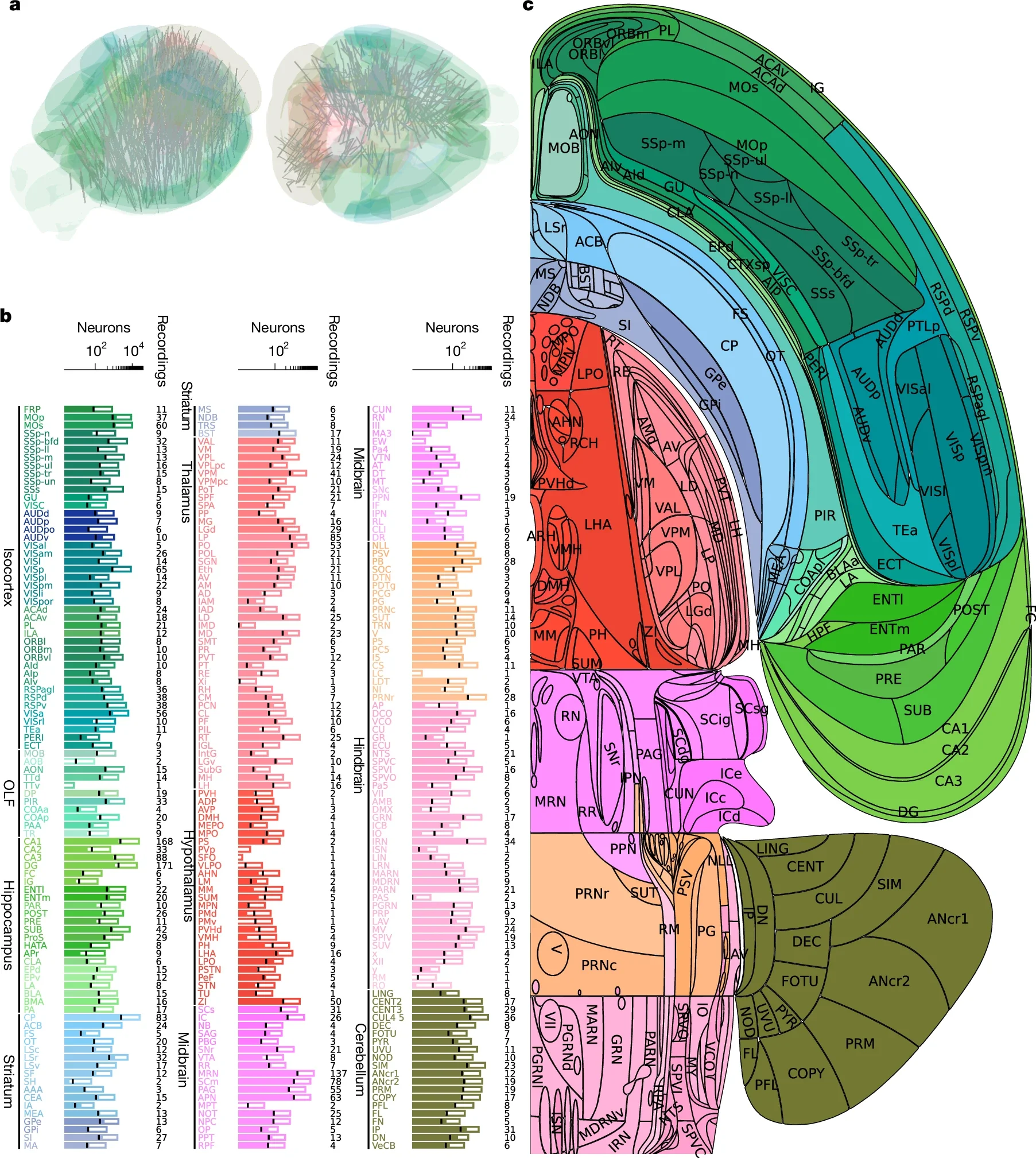 Brain-wide recordings during behaviour. Flatmap of one hemisphere showing the acronyms used for the regions.
