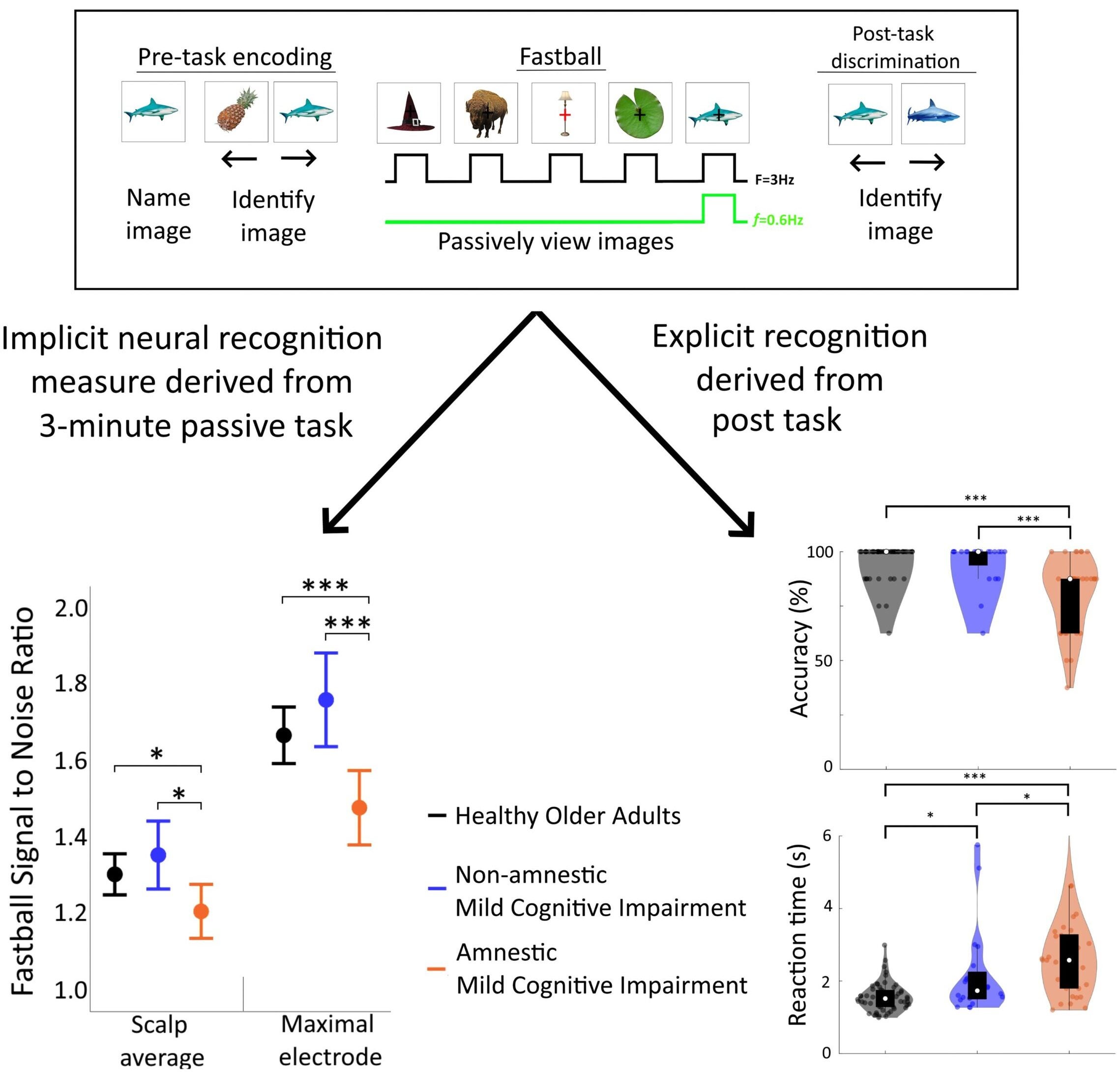 Fastball, a new EEG method for the passive and objective measurement of recognition memory that requires no behavioural memory response or task comprehension, is sensitive to amnestic dysfunction in Mild Cognitive Impairment.