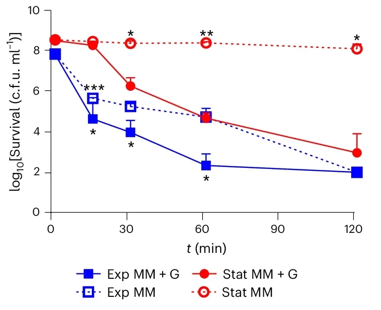 PmB lethality requires metabolic activity and is associated with significant morphological changes to the cell surface.
