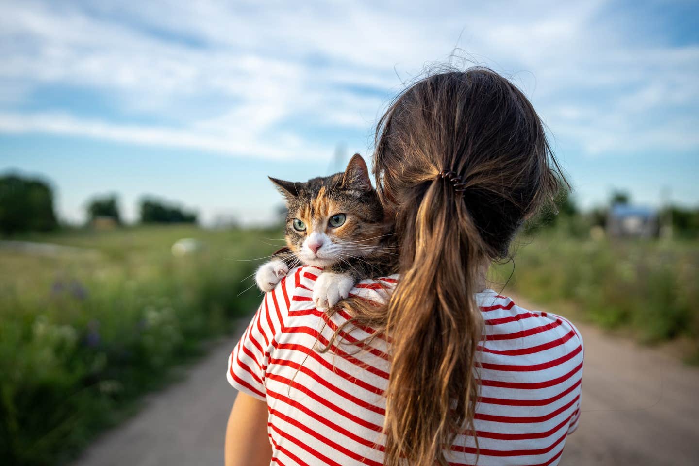 A University of Edinburgh study found that cats with dementia show similar brain damage to humans with Alzheimer’s, offering a powerful new model for studying the disease.